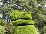 Topiary