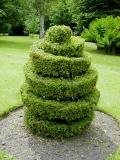 Topiary