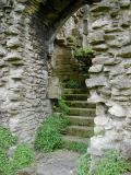 Kirkham Abbey Steps