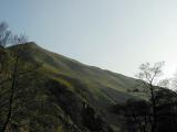 13_dovedale_hills