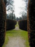 20_chatsworth_hedges