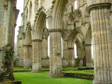 19_rievaulx_columns 