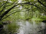 59_seathwaite_stream