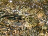 60_seathwaite_stream_zoom