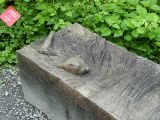 Broomhill_Otter_Seat