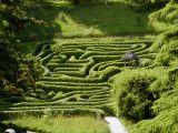 Glendurgan_Maze_2