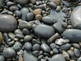 Hartland_Pebbles_Wet_1