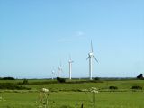 Wind_Farm